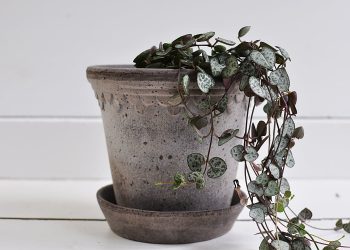 Grey Handmade Flowerpot ⌀ 14 cm “Copenhagen” | Bergs Potter | Willekulla Country Style | Side
