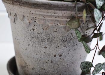 Grey Handmade Flowerpot ⌀ 14 cm “Copenhagen” | Bergs Potter | Willekulla Country Style | Closeup