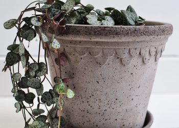 Grey Handmade Flowerpot ⌀ 16 cm “Copenhagen” | Bergs Potter | Willekulla Country Style | Closeup