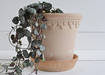 Handgjord kruka Terrakotta ⌀ 16 cm “Köpenhamn” | Bergs Potter | Willekulla Lantlig Inredning | framsida