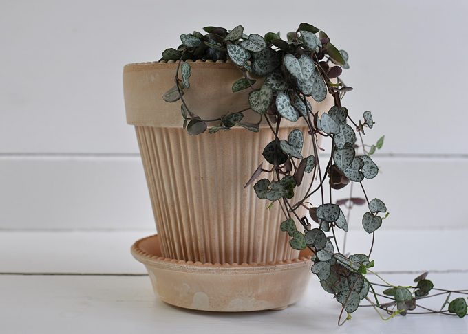Handmade Flowerpot Terracotta ⌀ 14 cm “Simona” | Bergs Potter | Willekulla Country Style | Front