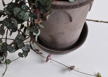 Handgjord grå kruka ⌀ 14 cm “Elizabeth” | Bergs Potter | Willekulla Lantlig Inredning | närbild