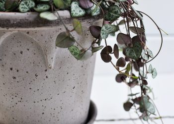 Grey Handmade Flowerpot ⌀ 16 cm “Elizabeth” | Bergs Potter | Willekulla Country Style | Closeup