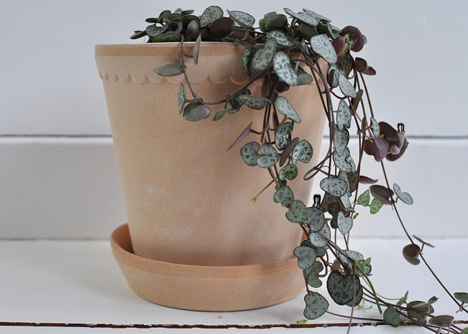Handmade Flowerpot Terracotta ⌀ 14 cm “Helena” | Bergs Potter | Willekulla Country Style | Side