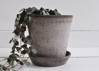 Handgjord grå blomkruka ⌀ 14 cm “Helena” | Bergs Potter | Willekulla Lantlig Inredning | framsida